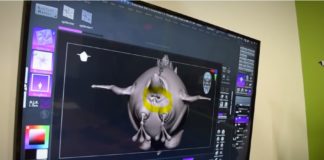 Typhoon Studios nos muestra lo bien que les quedan los esfínteres