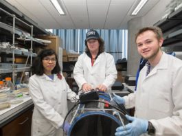 Un compuesto químico es capaz de matar a una de las seis superbacterias más peligrosas Daniel Hassett, Warunya Panmanee y Cameron McDaniel