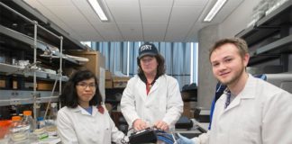 Un compuesto químico es capaz de matar a una de las seis superbacterias más peligrosas Daniel Hassett, Warunya Panmanee y Cameron McDaniel