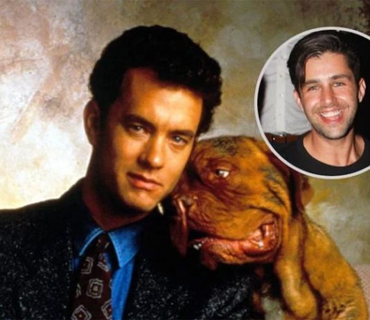 Josh Peck protagonizará la serie basada en la película Socios y sabuesos, para Disney+ Socios y sabuesos