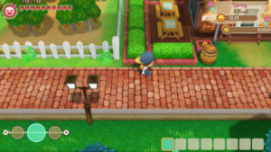 Story of Seasons: Friends of Mineral Town