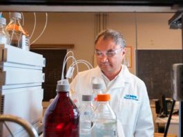 Cambios en las moléculas de azúcar en la superficie de las células ayudan al cáncer en la metástasis Profesor Carlito Lebrilla, Departamento de Química de UC Davis, en su laboratorio