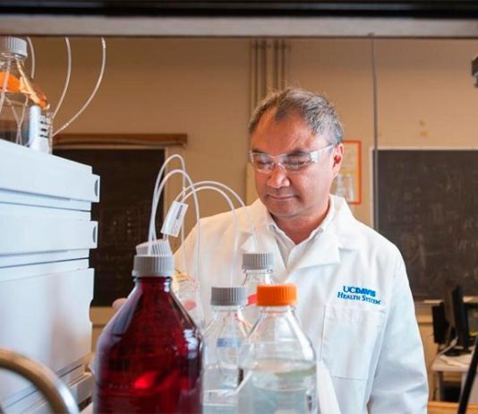 Cambios en las moléculas de azúcar en la superficie de las células ayudan al cáncer en la metástasis Profesor Carlito Lebrilla, Departamento de Química de UC Davis, en su laboratorio