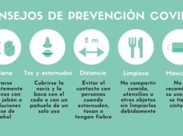 ¿Cuánto tiempo sobrevive el COVID-19 en superficies como el plástico, el cartón o el acero inoxidable? Recomendaciones Coronavirus Covid-19