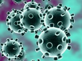 Última hora: el tiempo de incubación para el nuevo coronavirus es de 5,1 días Representación de un coronavirus