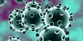 Última hora: el tiempo de incubación para el nuevo coronavirus es de 5,1 días Representación de un coronavirus