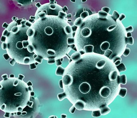 Última hora: el tiempo de incubación para el nuevo coronavirus es de 5,1 días Representación de un coronavirus