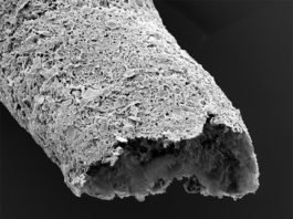 Nuevo biomaterial permite la impresión 3D de estructuras vasculares similares a tejidos vivos Primer plano de una estructura tubular realizada mediante impresión simultánea y autoensamblaje entre óxido de grafeno y una proteína