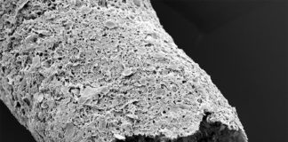 Nuevo biomaterial permite la impresión 3D de estructuras vasculares similares a tejidos vivos Primer plano de una estructura tubular realizada mediante impresión simultánea y autoensamblaje entre óxido de grafeno y una proteína