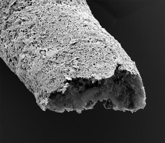 Nuevo biomaterial permite la impresión 3D de estructuras vasculares similares a tejidos vivos Primer plano de una estructura tubular realizada mediante impresión simultánea y autoensamblaje entre óxido de grafeno y una proteína