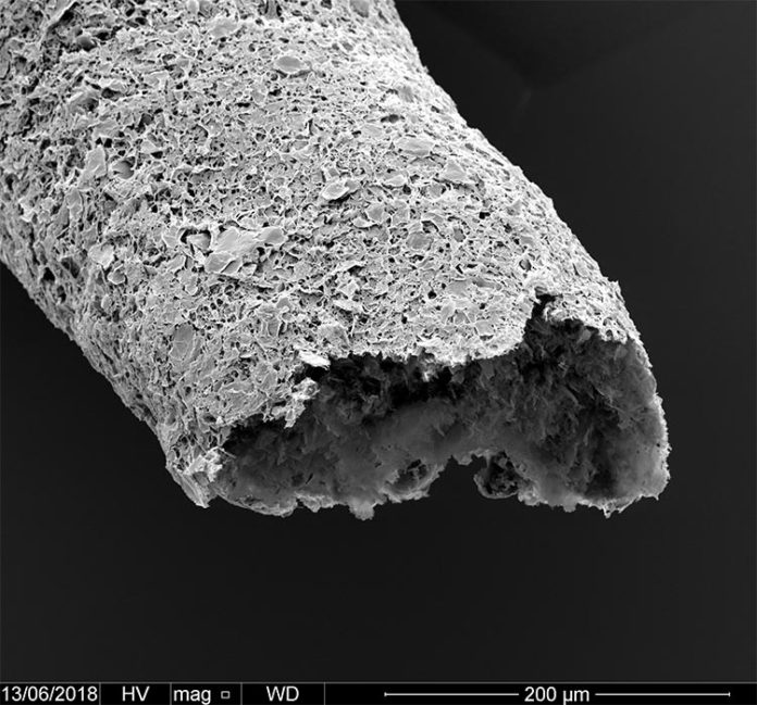 Primer plano de una estructura tubular realizada mediante impresión simultánea y autoensamblaje entre óxido de grafeno y una proteína Primer plano de una estructura tubular realizada mediante impresión simultánea y autoensamblaje entre óxido de grafeno y una proteína