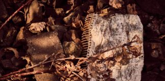 Diarios de Campo: Coronavirus y Teoría del Caos