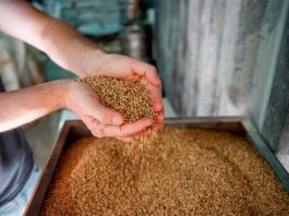 Tecnologías que revolucionarán la alimentación del futuro Alimentación