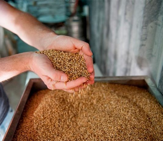 Tecnologías que revolucionarán la alimentación del futuro Alimentación