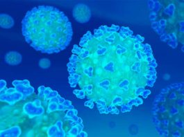 Según la OMS un pasaporte de inmunidad expedido para el COVID-19 podría agravar la pandemia Coronavirus COVID-19