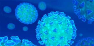 Según la OMS un pasaporte de inmunidad expedido para el COVID-19 podría agravar la pandemia Coronavirus COVID-19