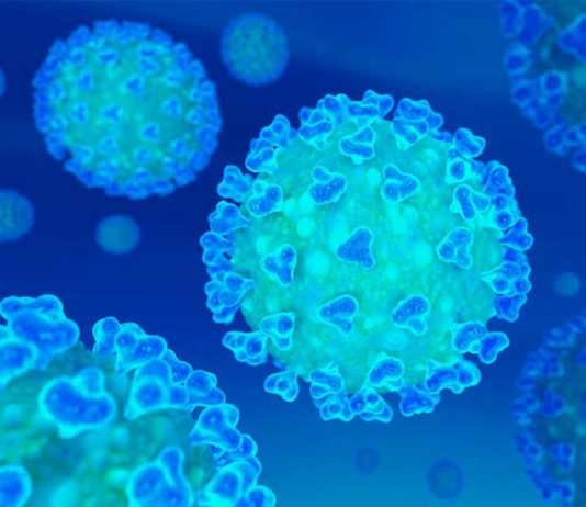 Según la OMS un pasaporte de inmunidad expedido para el COVID-19 podría agravar la pandemia Coronavirus COVID-19