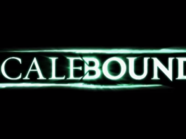 Microsoft no tiene en mente recuperar Scalebound Scalebound