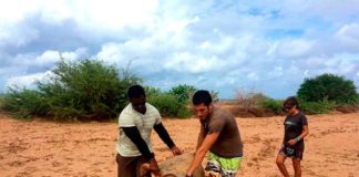 Entrevista con Albert Taxonera: Projeto Biodiversidade, conservación sostenible en Cabo Verde Projeto Biodiversidade en Cabo Verde