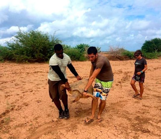 Entrevista con Albert Taxonera: Projeto Biodiversidade, conservación sostenible en Cabo Verde Projeto Biodiversidade en Cabo Verde