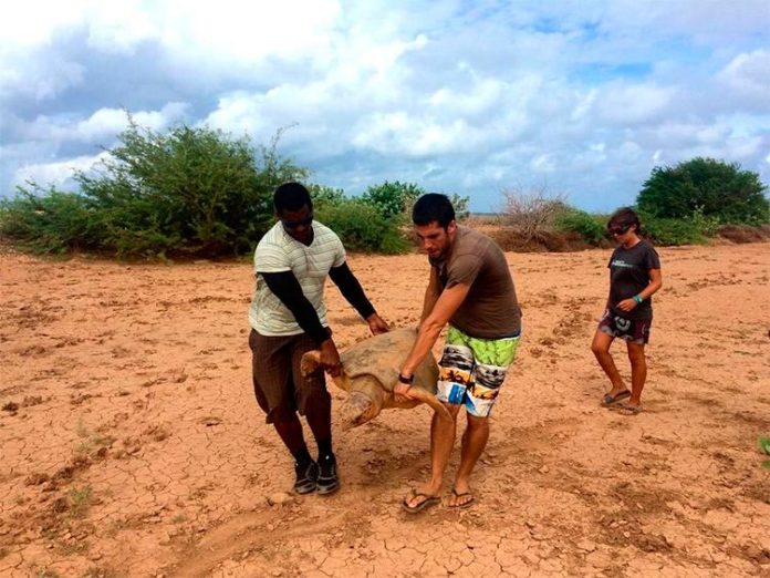 Projeto Biodiversidade en Cabo Verde