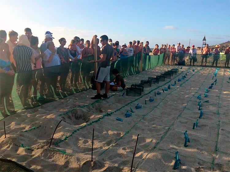Projeto Biodiversidade en Cabo Verde