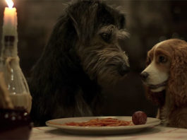 La Dama y el Vagabundo life action: el revivir de un clásico la dama y el vagabundo 2019