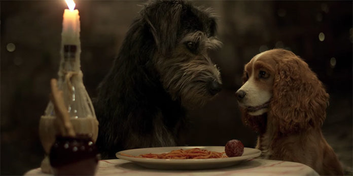 la dama y el vagabundo 2019