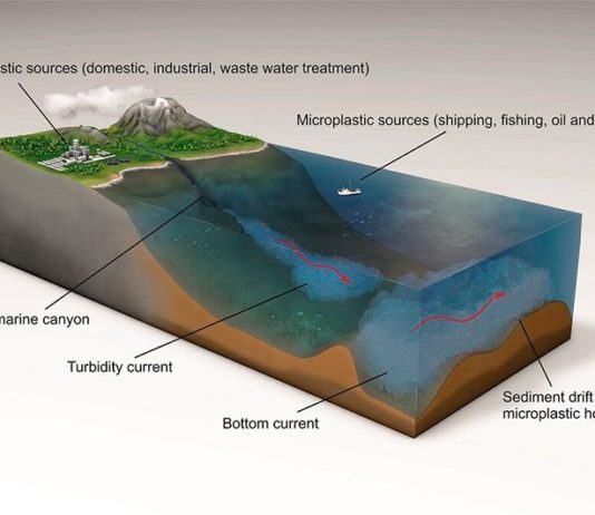 Científicos encuentran el nivel más alto de microplásticos en el fondo marino La mayoría de microplásticos termina en el fondo marino