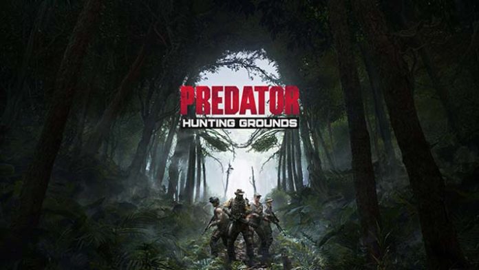 Predator Hunting Grounds - portada