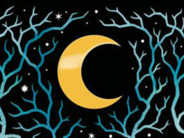 El bosque de las cosas perdidas de Shea Ernshaw aterriza en Puck en julio el-bosque-de-las-cosas-perdidas-shea-ernshaw-destacada