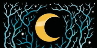 El bosque de las cosas perdidas de Shea Ernshaw aterriza en Puck en julio el-bosque-de-las-cosas-perdidas-shea-ernshaw-destacada