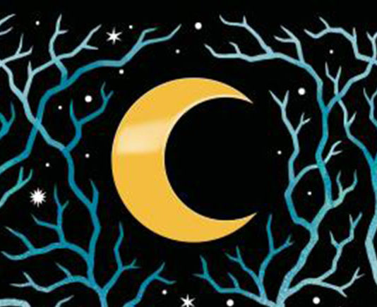 El bosque de las cosas perdidas de Shea Ernshaw aterriza en Puck en julio el-bosque-de-las-cosas-perdidas-shea-ernshaw-destacada