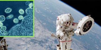 El sistema inmunitario de los mamíferos tendría problemas para luchar contra gérmenes espaciales Gérmenes del espacio