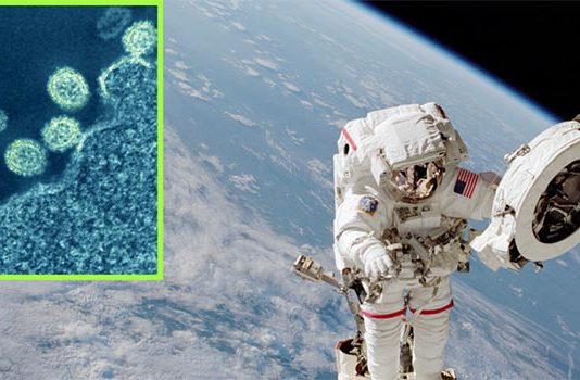 El sistema inmunitario de los mamíferos tendría problemas para luchar contra gérmenes espaciales Gérmenes del espacio