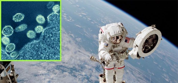 Gérmenes del espacio