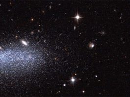 El proyecto Cazador de asteroides Hubble descubre dos nuevos asteroides Imagen del Hubble con dos nuevos asteroides