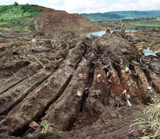 Un estudio encuentra peligrosos niveles de mercurio en los peces del Amazonas Minería de oro en el Amazonas