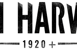 Desvelada la beta abierta de Iron Harvest 1920+