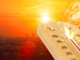 Las tendencias de las olas de calor se aceleran en todo el mundo y nos obligan a reaccionar Dramatización de una ola de calor