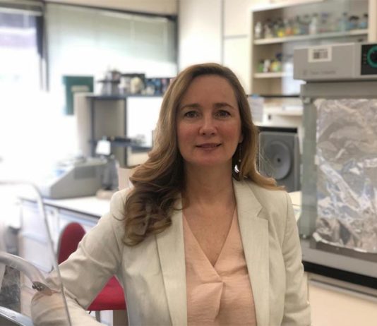 Antiviral usado para tratar coronavirus en gatos también funciona contra el SARS-CoV-2 Joanne Lemieux, profesora de bioquímica