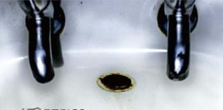 «Los buenos samaritanos» de Will Carver: nueva serie negra en Destino