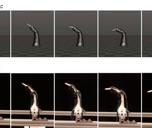 Tecnología: Dedo robótico biomimético creado mediante impresión 3D Dedo robótico