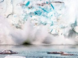Deshielo récord en Groenlandia: el nivel del mar sigue subiendo Hielo de Groenlandia desprendiéndose al mar