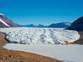 Vida extrema: Antiguos genes protegen a las algas de la sal y el frío en la Antártida Primer plano: el lago Bonney hipersalino cubierto de hielo en la Antártida. Detrás: el Glaciar Taylor. Crédito: Rachael Morgan-Kiss