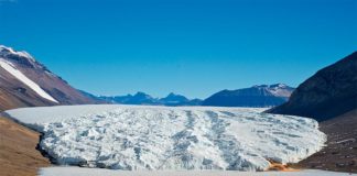 Vida extrema: Antiguos genes protegen a las algas de la sal y el frío en la Antártida Primer plano: el lago Bonney hipersalino cubierto de hielo en la Antártida. Detrás: el Glaciar Taylor. Crédito: Rachael Morgan-Kiss