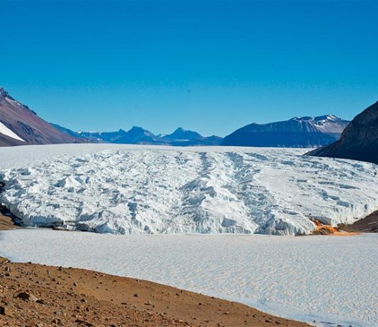 Vida extrema: Antiguos genes protegen a las algas de la sal y el frío en la Antártida Primer plano: el lago Bonney hipersalino cubierto de hielo en la Antártida. Detrás: el Glaciar Taylor. Crédito: Rachael Morgan-Kiss