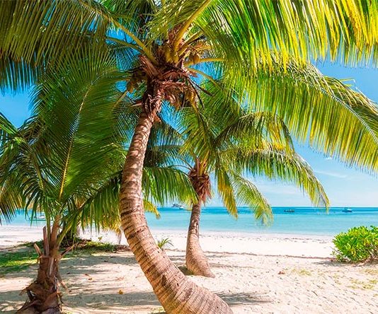 Los trópicos se expanden, y el principal culpable es el cambio climático, según un estudio Trópicos