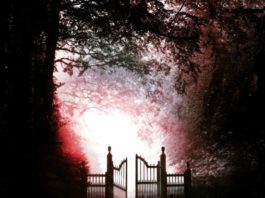 «La noche de plata» de Elia Barceló, entre las novedades de octubre de Roca Editorial