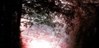 «La noche de plata» de Elia Barceló, entre las novedades de octubre de Roca Editorial